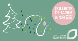 collecte_sapin_website_1200x630