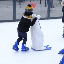 patinoire sartrouville