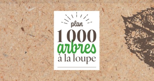 Le Plan 1 000 arbres à la loupe grâce à un guide illustré !