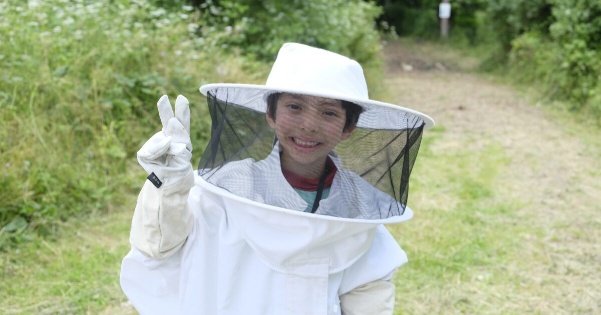 éco-animation ruches juin 2024 sartrouville (5)