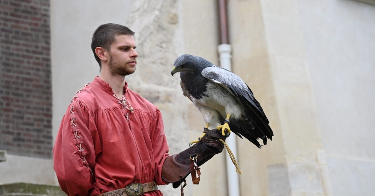 miniature journée du patrimoine Sartrouville 2024