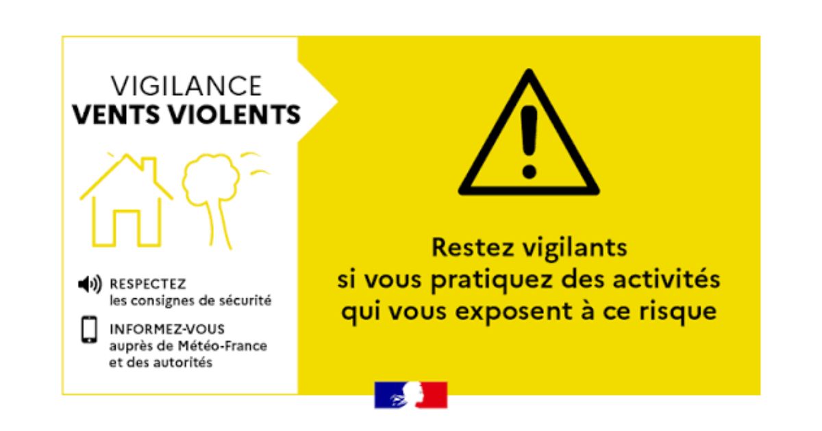 Météo-France place les Yvelines en vigilance jaune pour vent violent à partir de ce jeudi 22 octobre au soir. Des rafales importantes sont attendues dans la région.