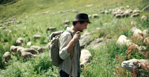 film Bergers de Mathias Lefebvre